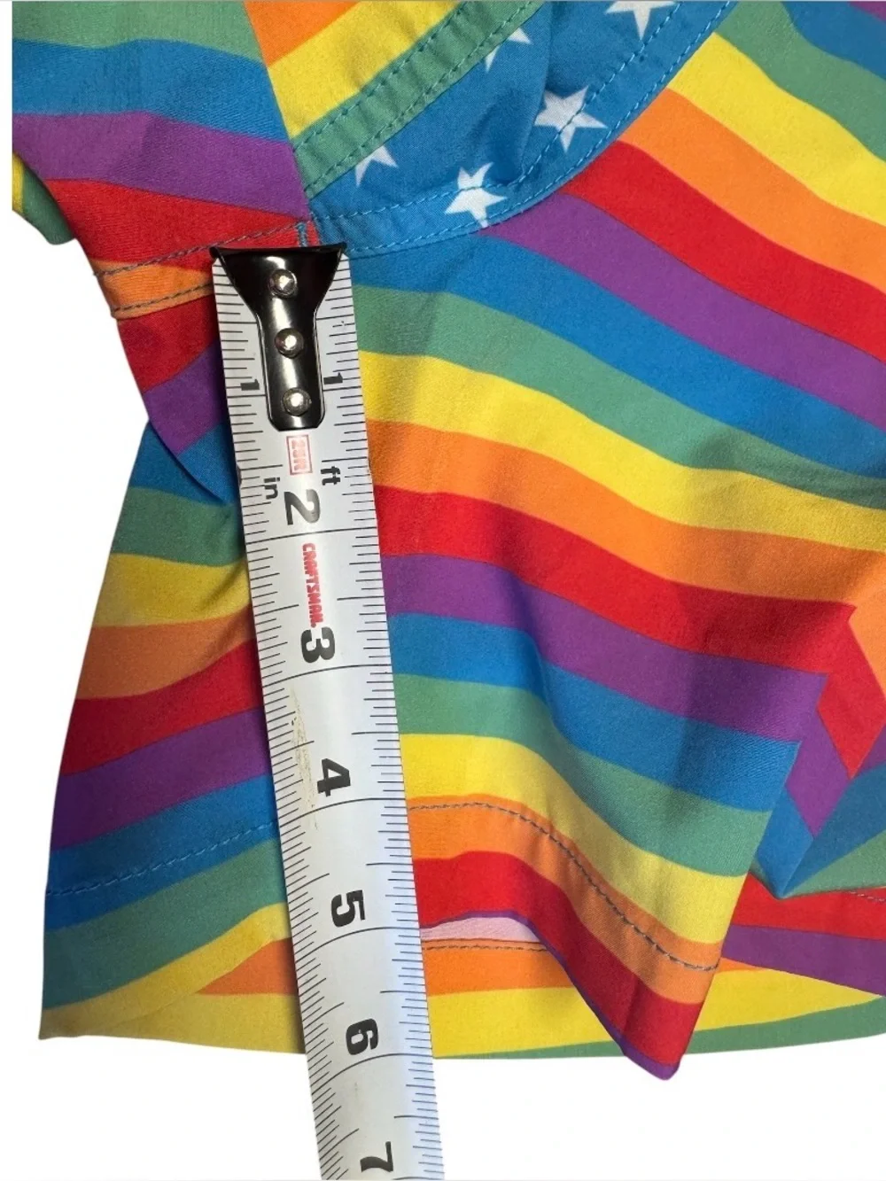 EUC Chubbies “Love is Love” Mens Swim Trunks  Shortie 4 Inch Pride Rainbow Short